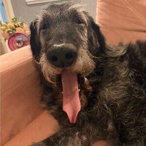 Meet your Posher, Kristie